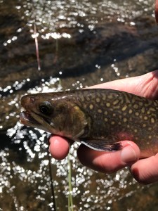 B41280AE-8D1A-437B-94AE-37223B132FD5