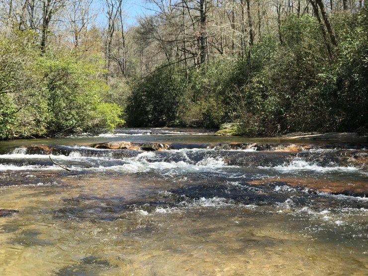 BBB1FB70-B65C-4C74-8582-21CD7AAED49F